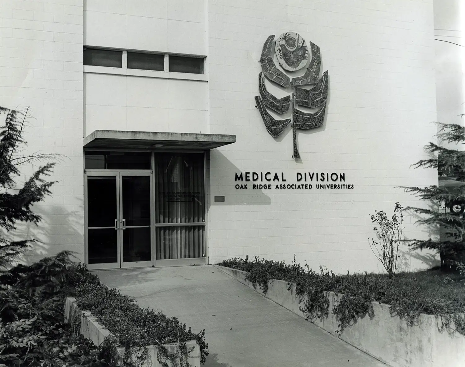 medical-division-front-entrance.webp