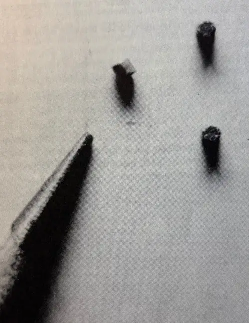 pellets.webp