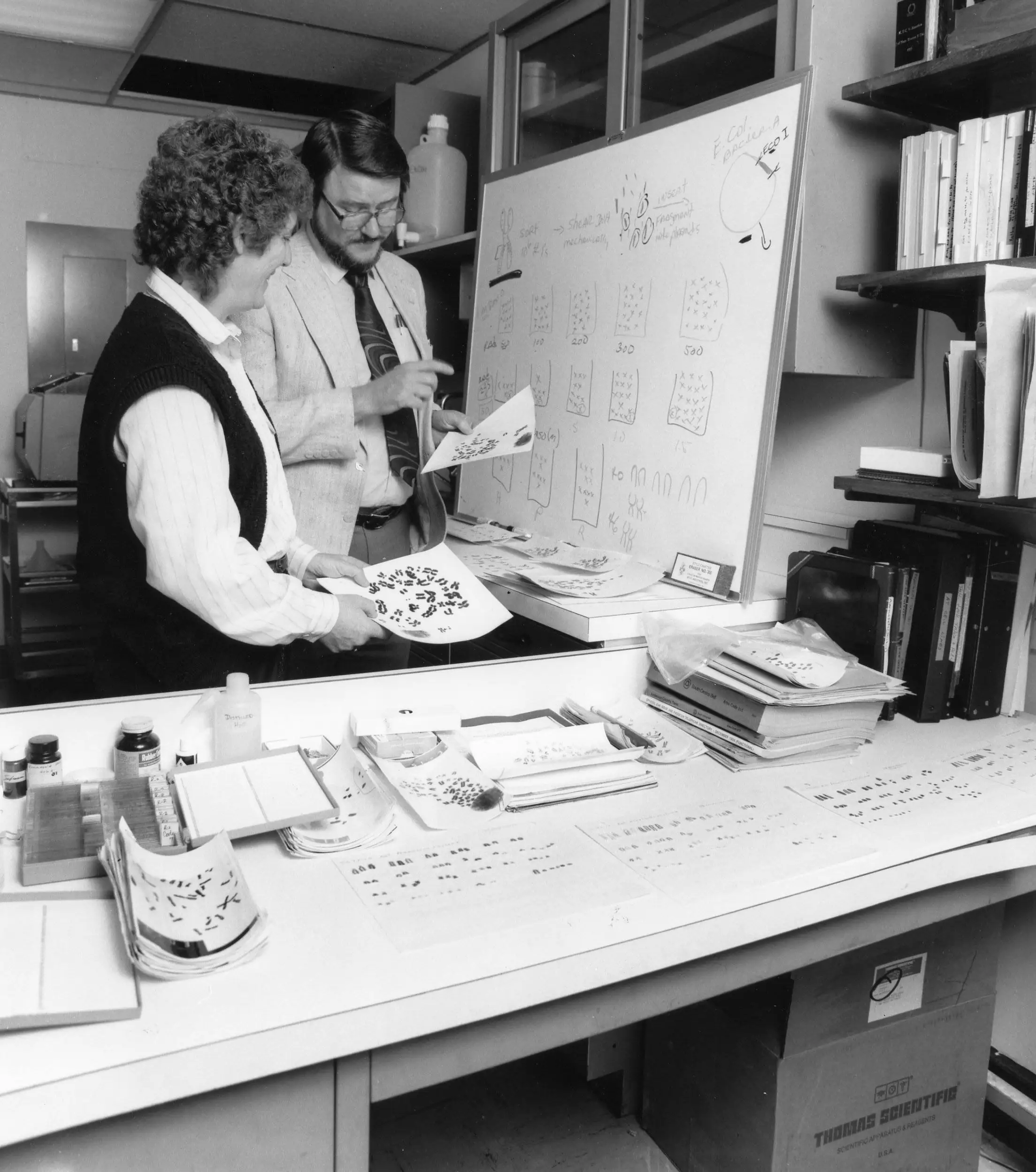 reacts_cytogenetics_program_1984.webp