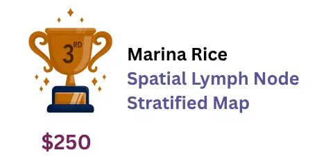 3rd place winner: Marina Rice, Spatial Lymph Node Stratified Map
