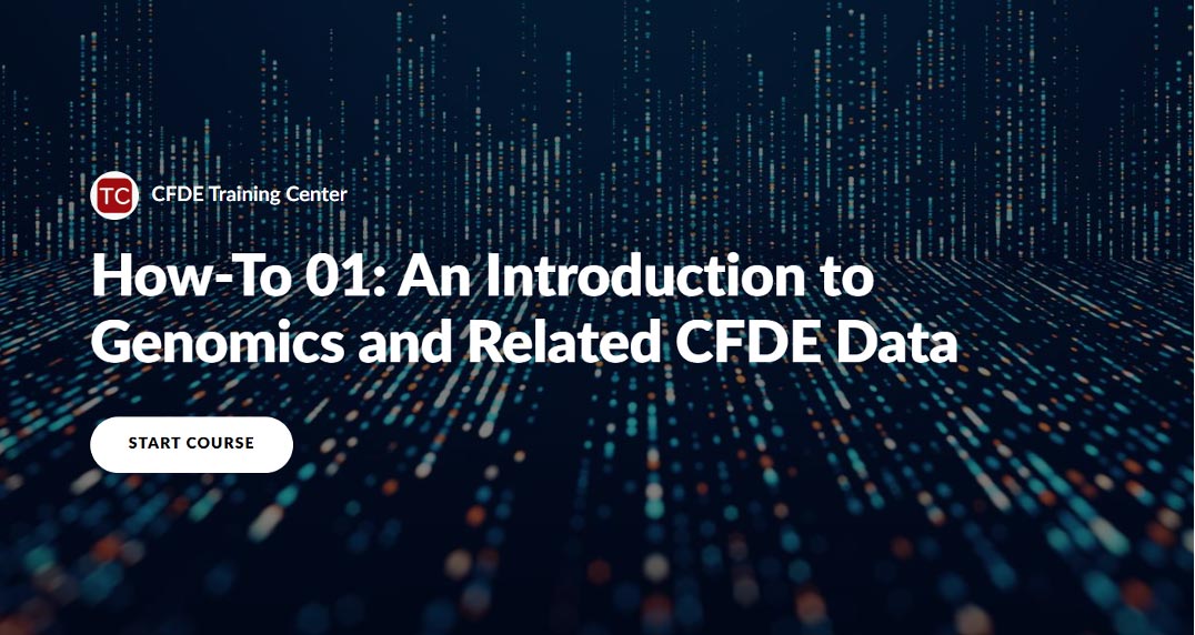 cdfe-course-screenshot.jpg