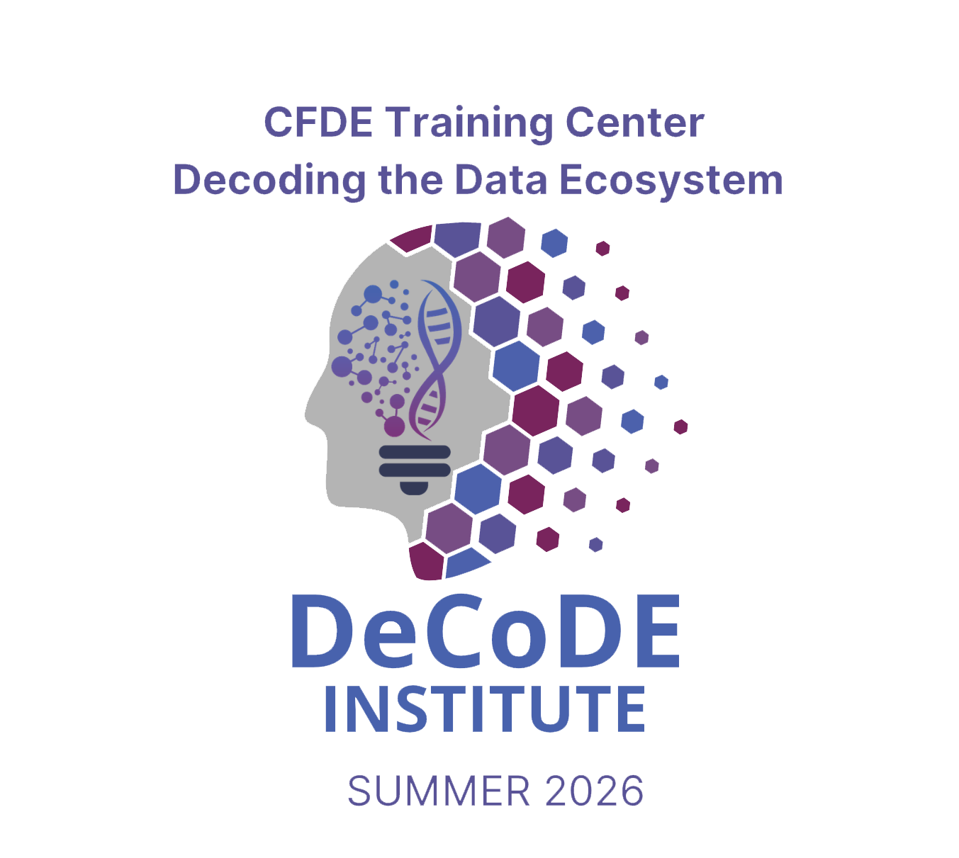 DeCoDE Institute graphic