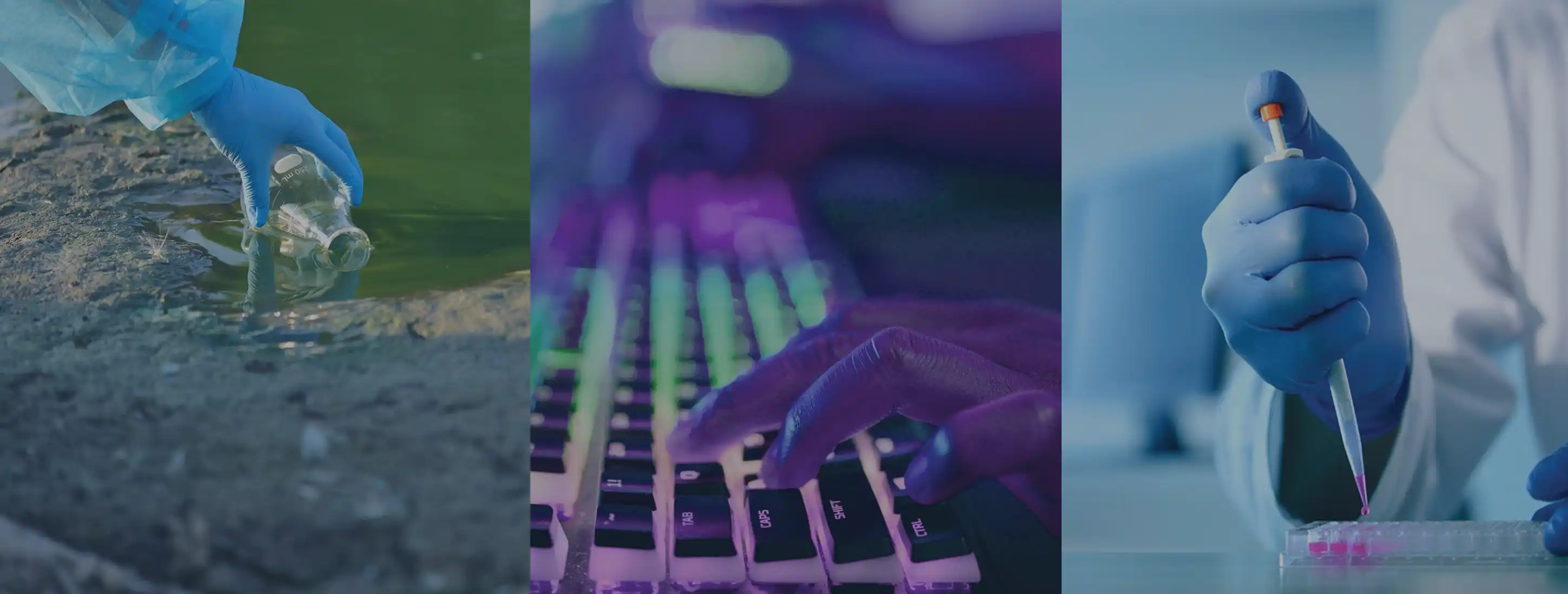 header.webp