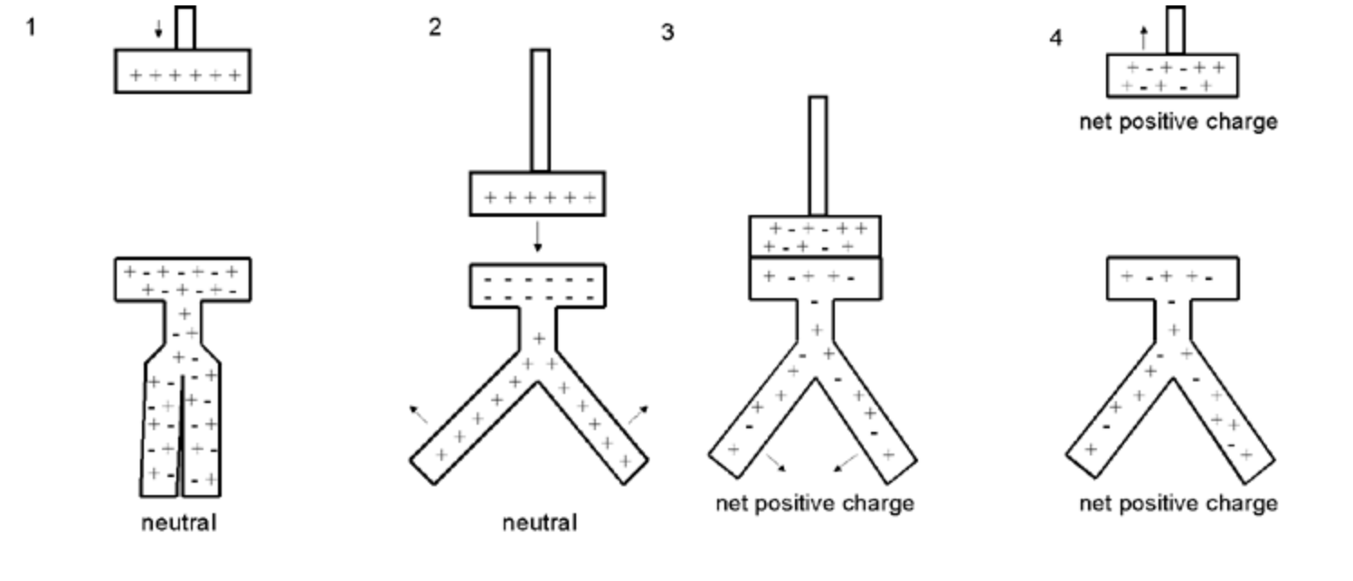 Electroscope diagram