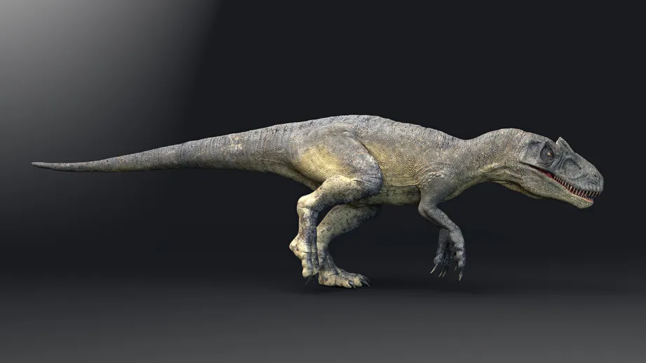 Allosaurus 3D rendering from Getty Images