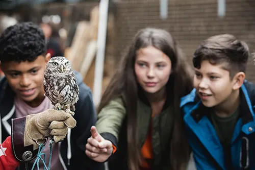 image for Wildly Fun Animal Observers with Zoo Knoxville educator program