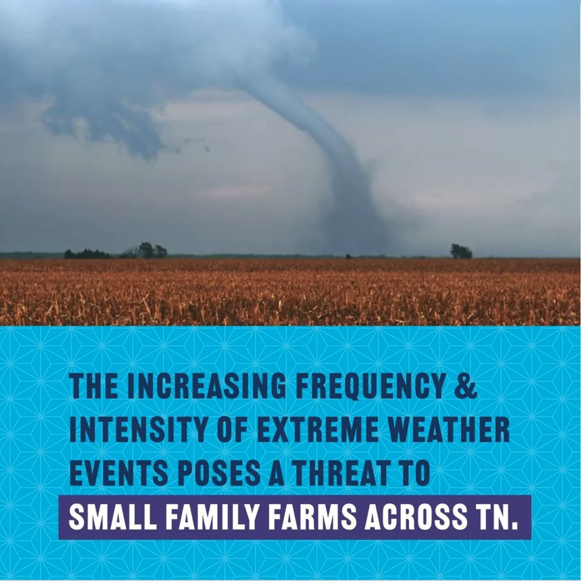 How small family farms weather the storm