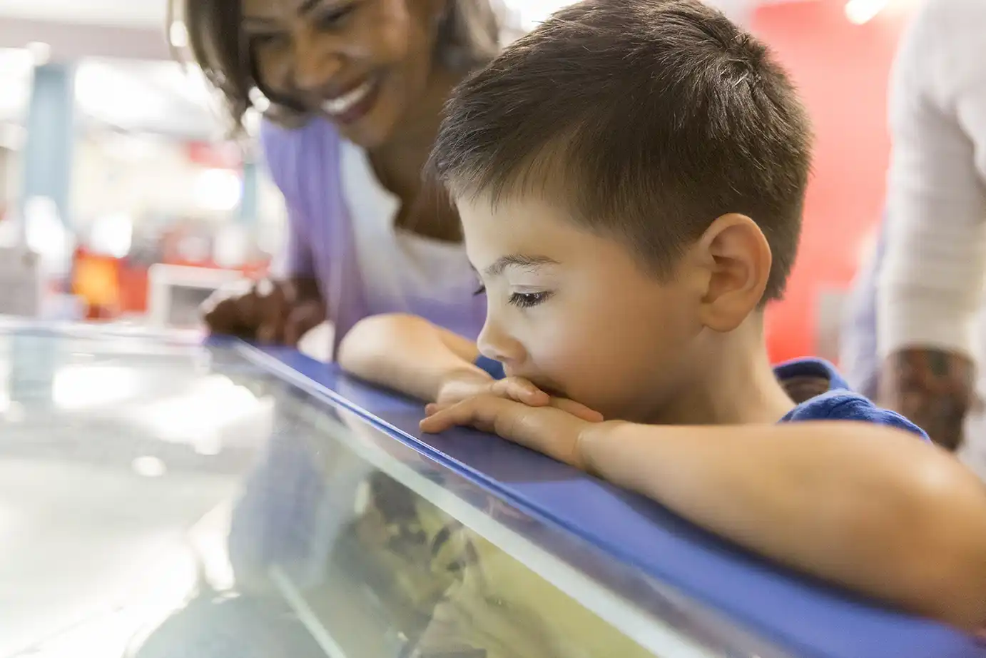 k-12 student looks in a glass case
